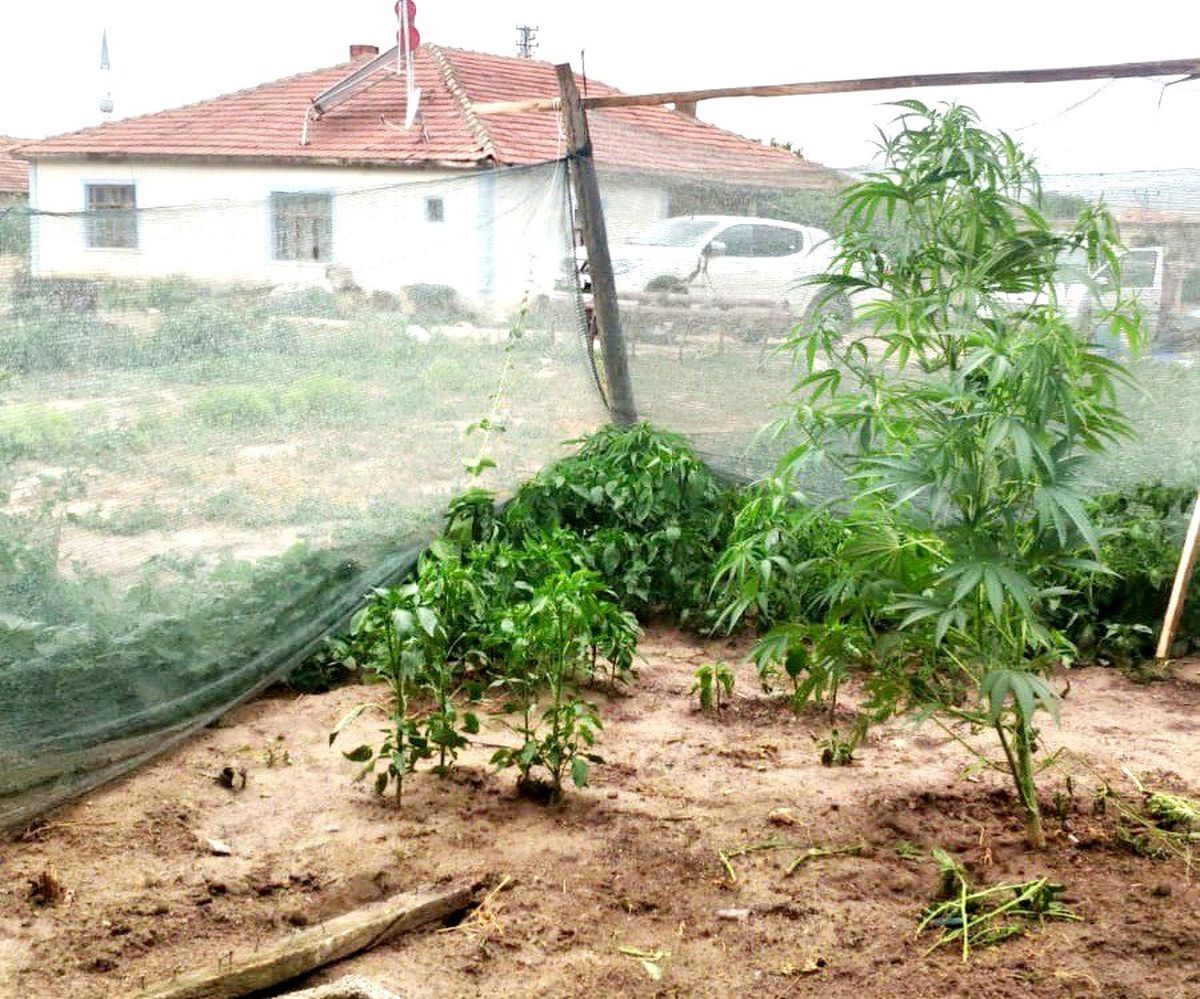 Müstakil evde uyuşturucu imalatına 1 tutuklama