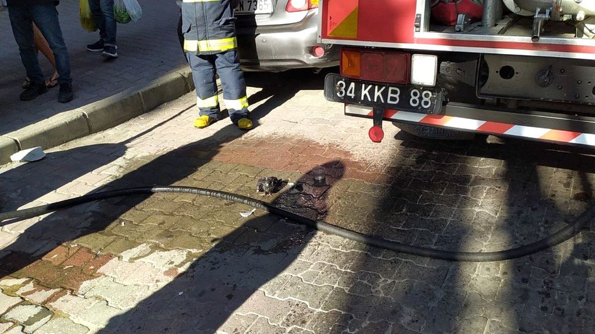 (Özel) Taksim\'de sıcaktan bunalan güvercine belediye işçisinden yardım eli