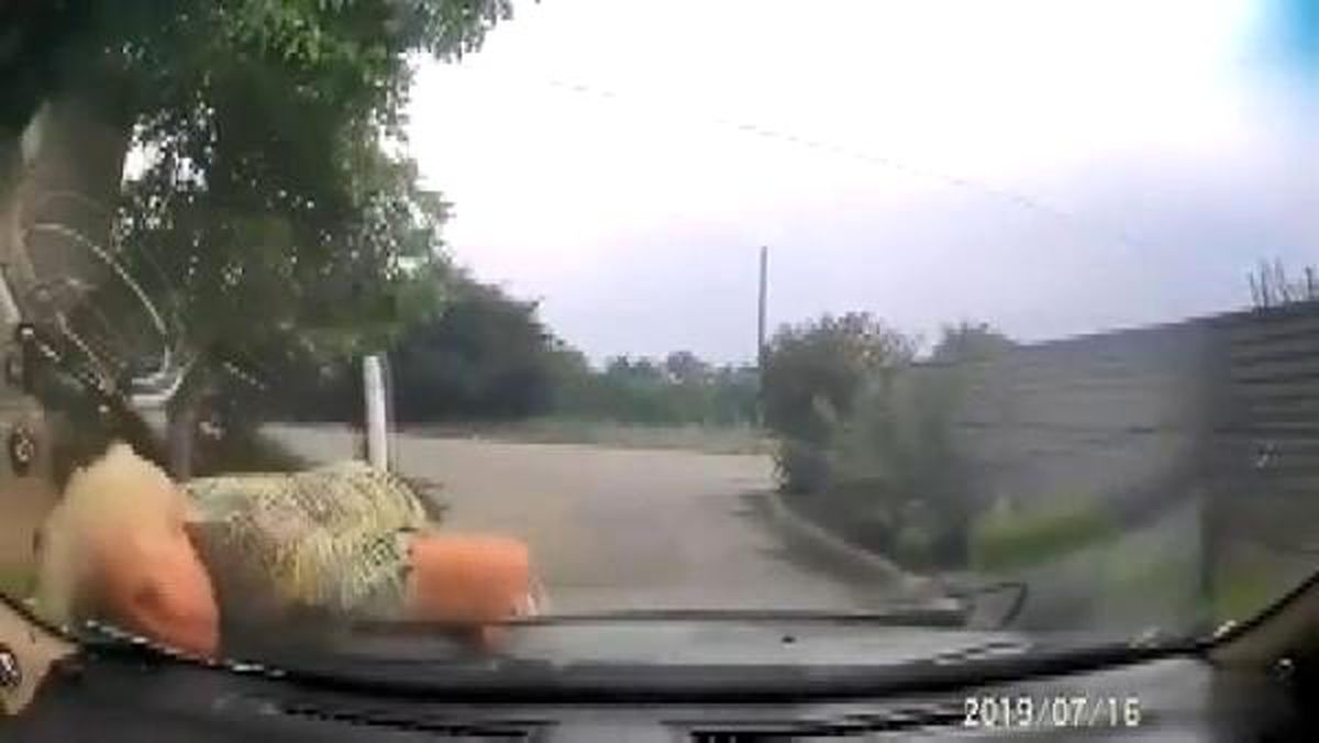 Polis aracına çarpan bisikletli yaşlı kadın cezadan kaçamadı