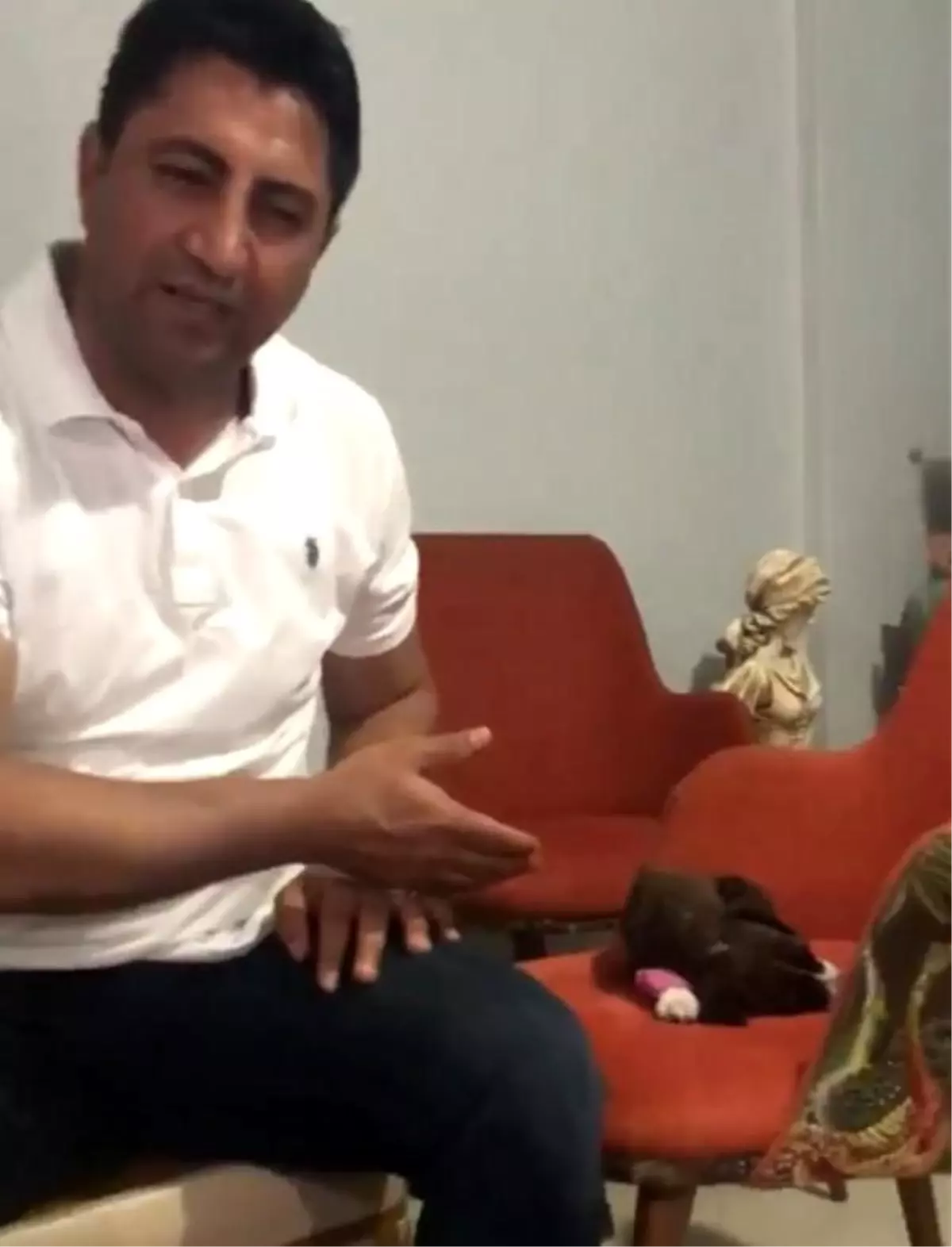 Poşete konulup, çöpe atılan yavru köpek kurtarılamadı