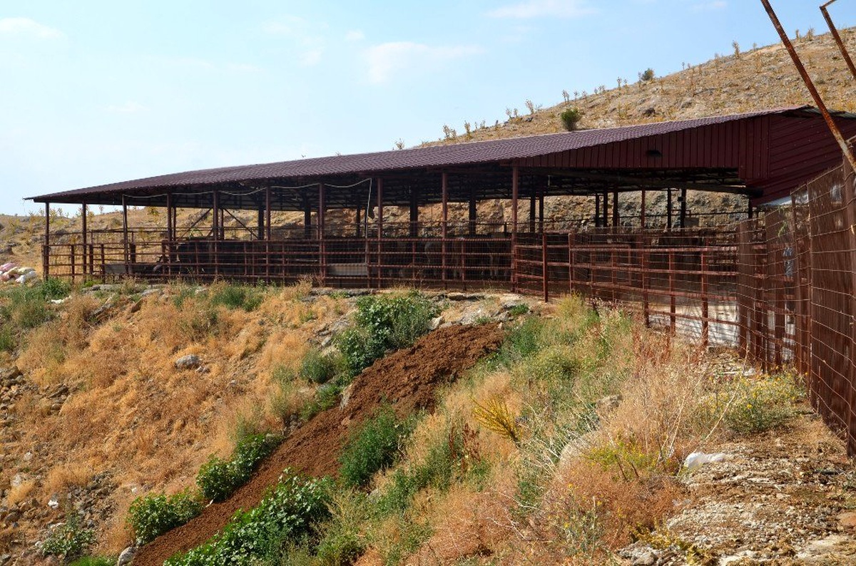 Sabah kahvaltılı, öğlen yemekli 5 yıldızlı kurban hizmeti