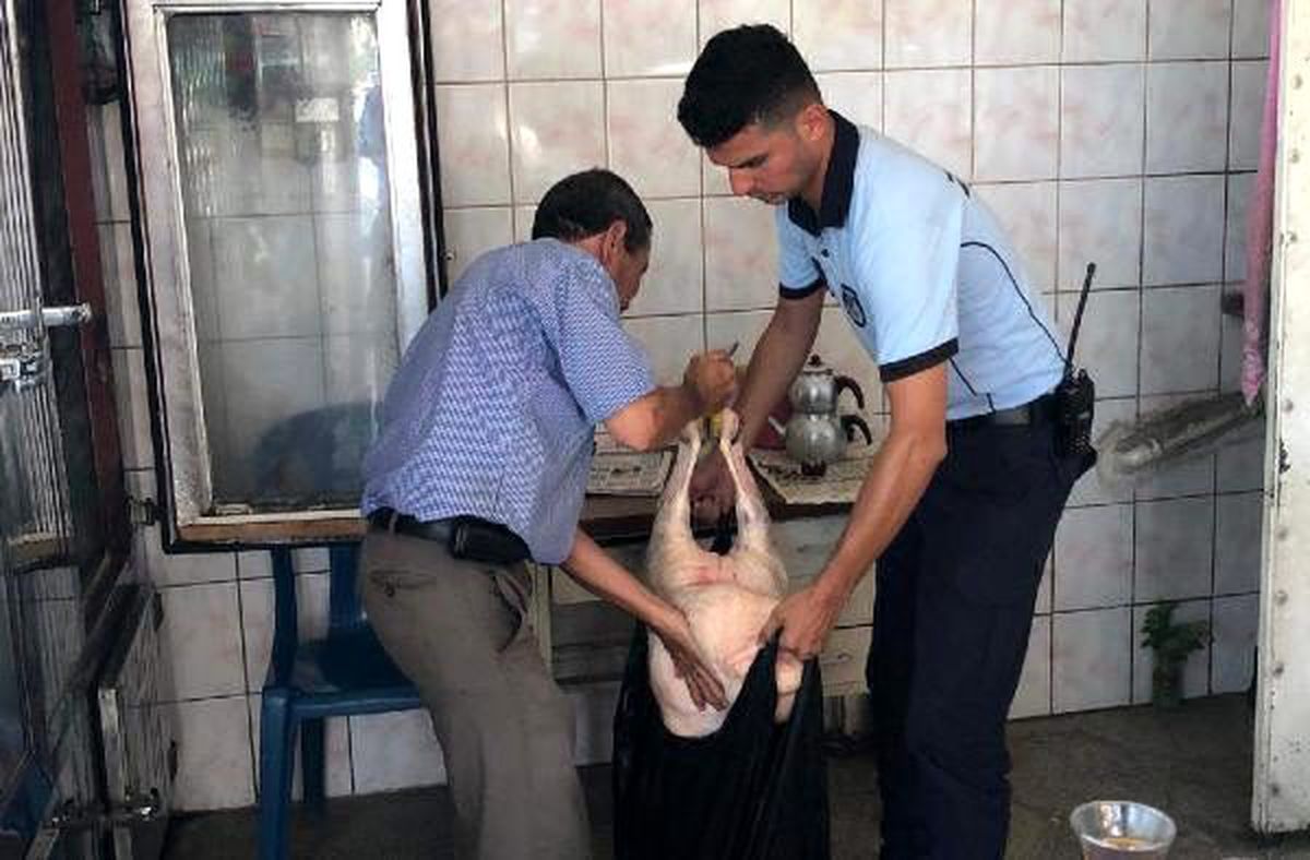 Tarsus\'ta patates mühürlü 113 kilo kaçak et ele geçirildi
