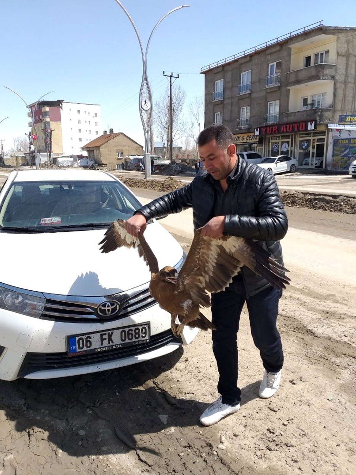 Yaralı bulunan bozkır kartalı tedavi altına alındı