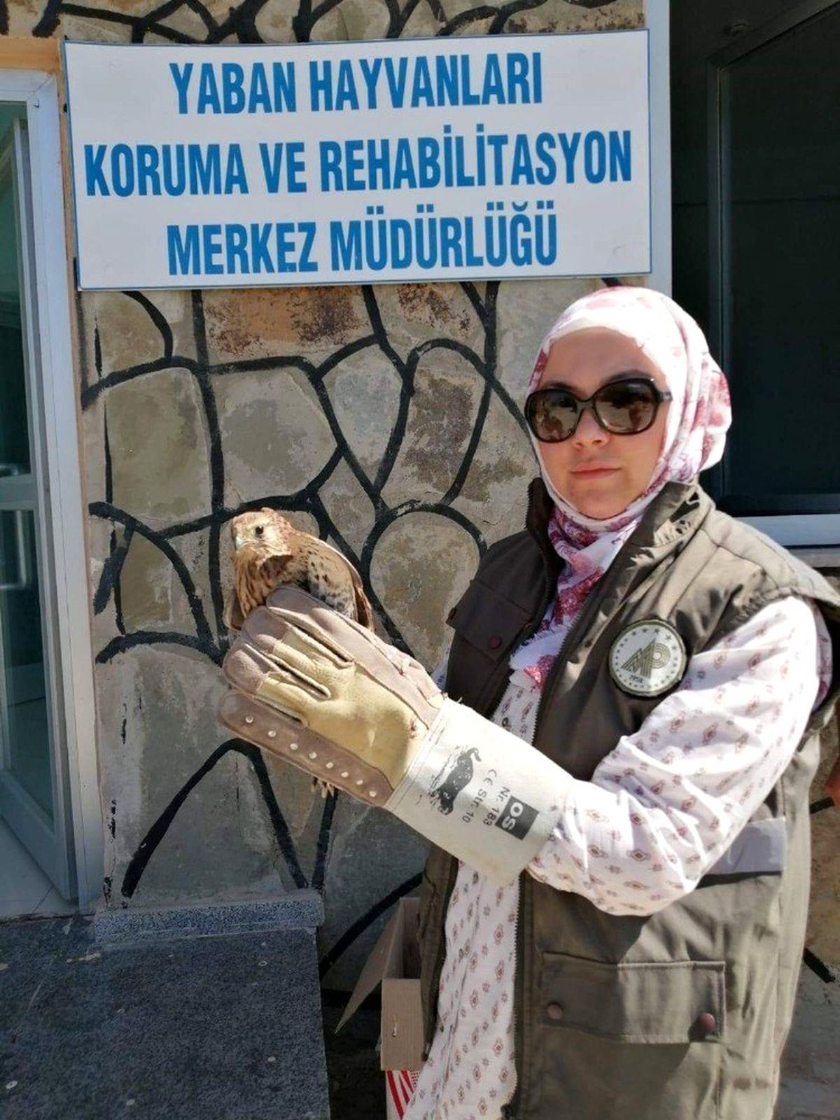 Yaralı kerkenezler tedavi altına alındı