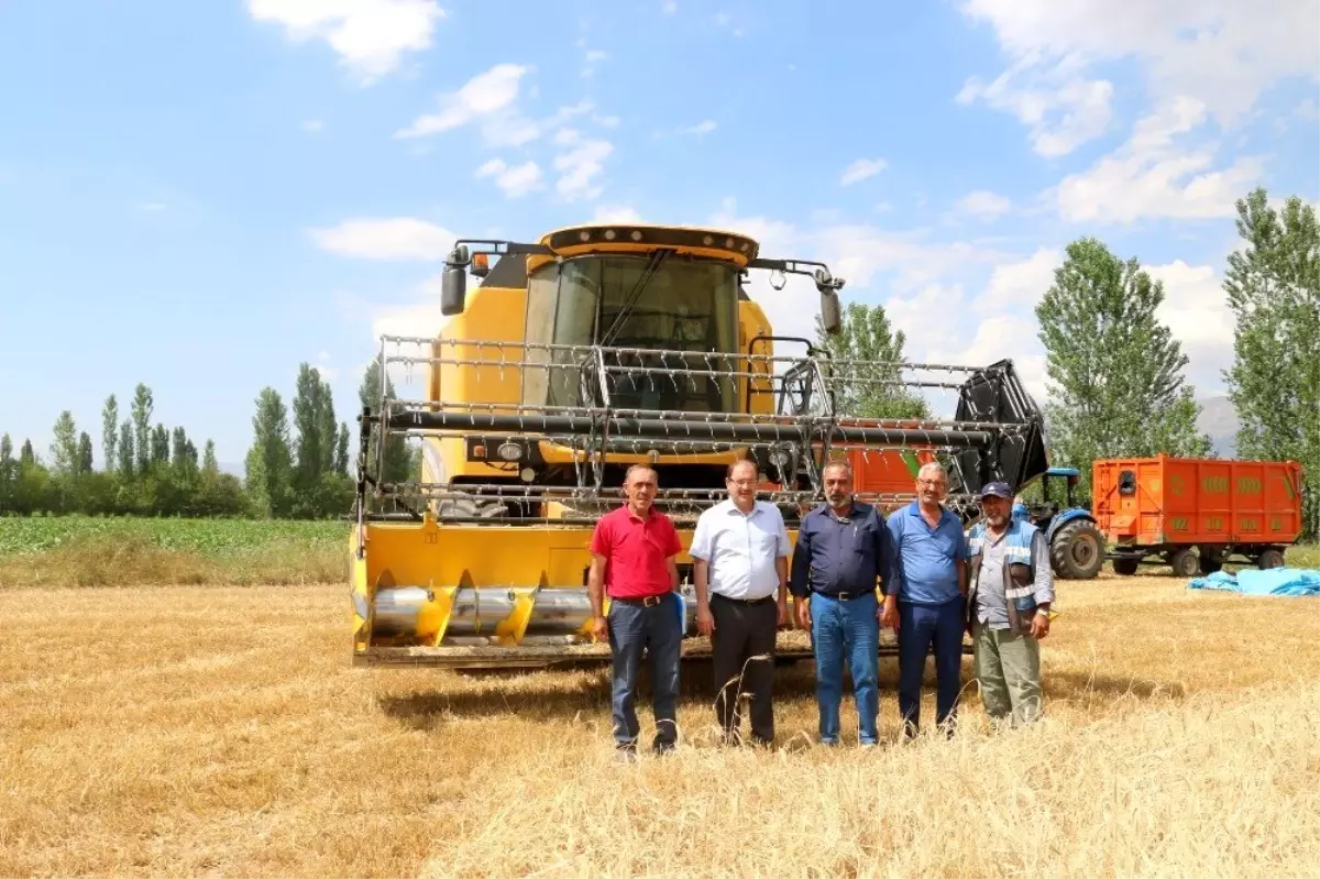 Erzincan\'da hububat hasadına sıkı denetim