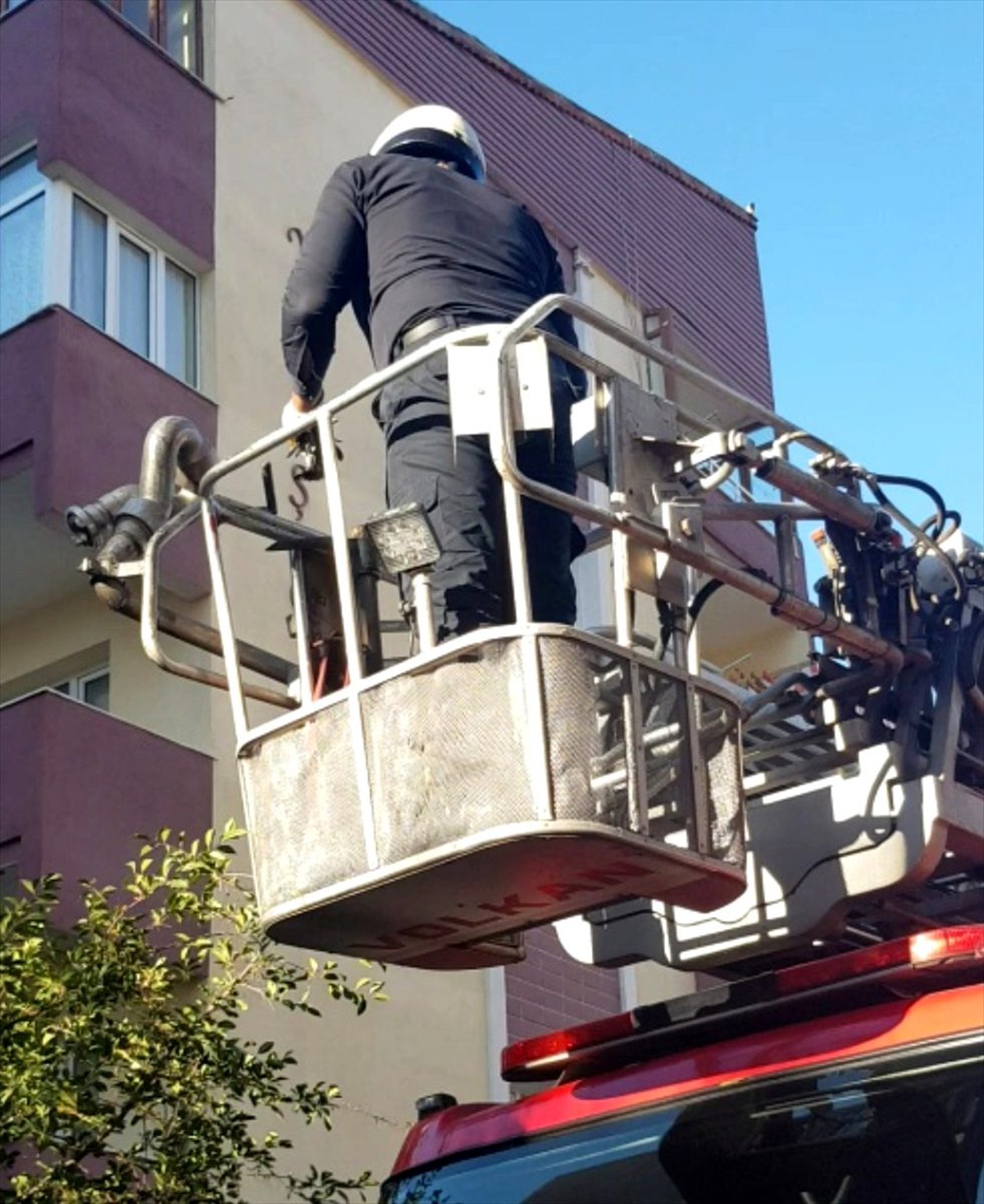 Karga yavrusunun imdadına itfaiye yetişti