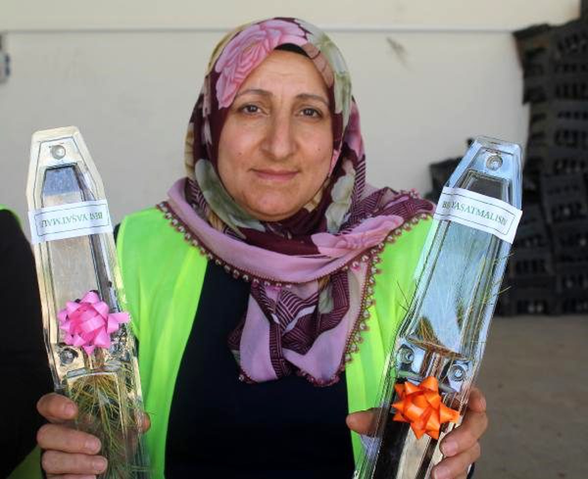 Sivas\'ta kadın işçiler nikah fidanı üretiyor