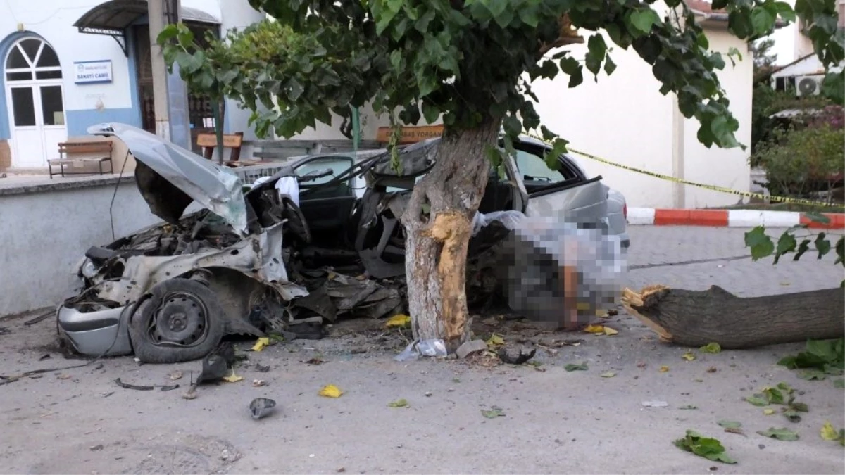 Balıkesir\'de otomobil ağaca çarptı: 1 ölü