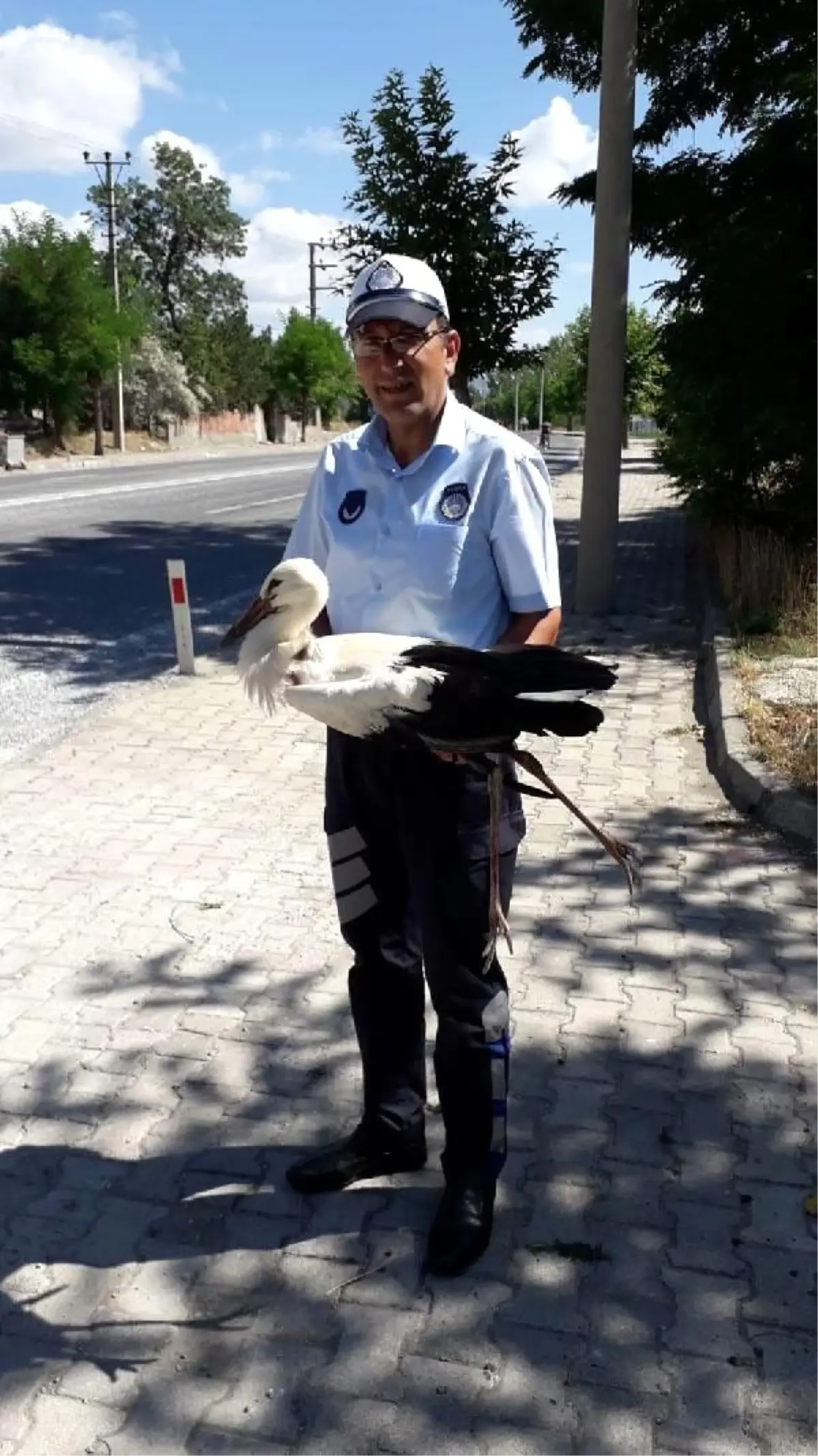 Kanadı yaralı leylek, tedaviye alındı