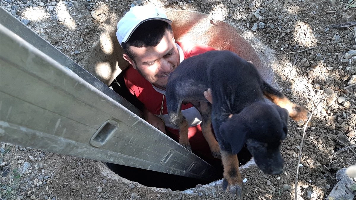 Rögara düşen köpek yavrusu çocukların dikkati sayesinde kurtarıldı