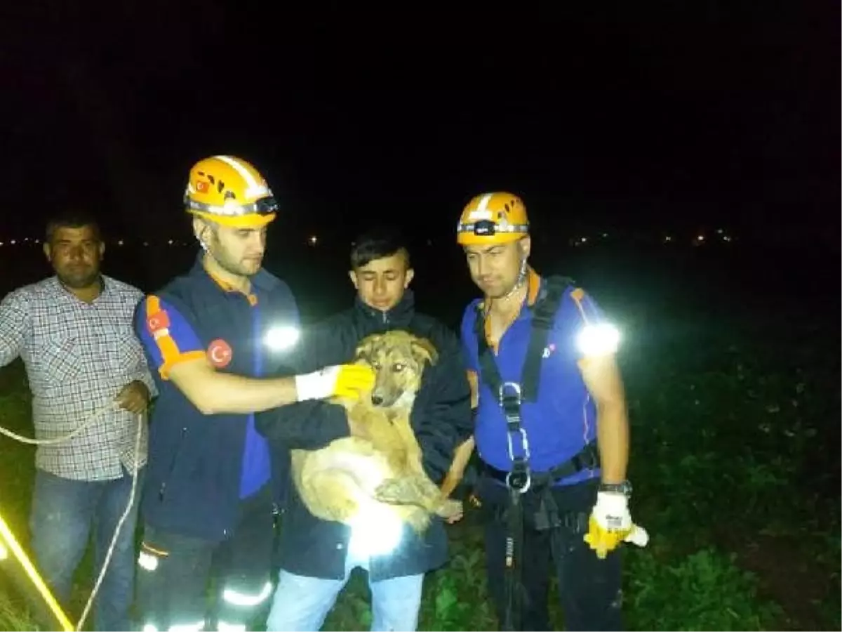 Su kuyusuna düşen köpeği AFAD kurtardı