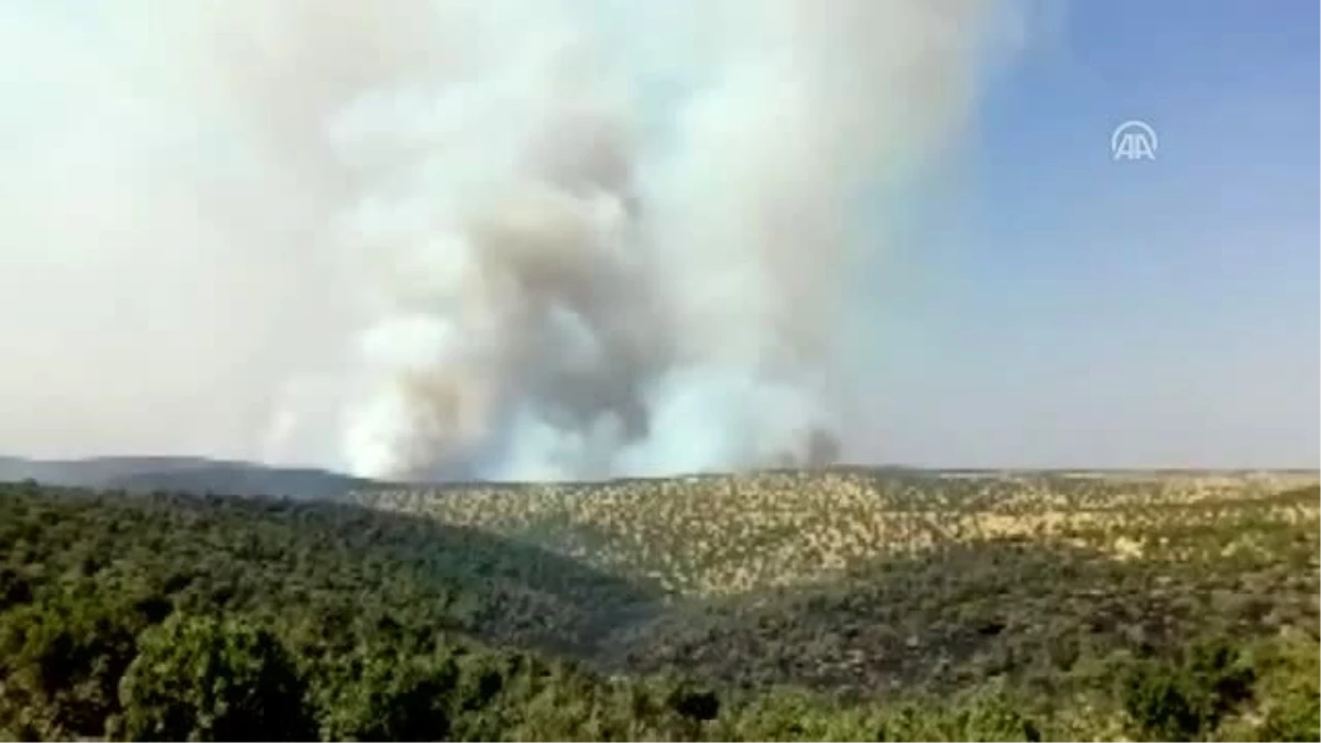 Midyat\'ta orman yangını