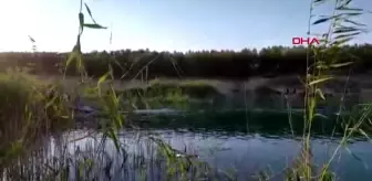 ŞANLIURFA Baraj gölüne giren genç boğuldu