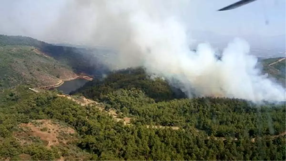 TorbalÄ±'da Ã§Ä±kan orman yangÄ±nÄ± sÃ¶ndÃ¼rÃ¼lmeye Ã§alÄ±ÅÄ±lÄ±yor