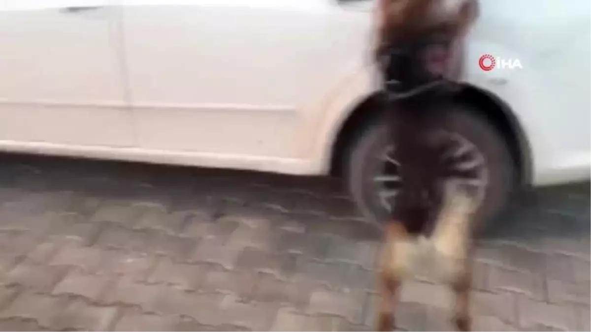 Van\'da 3 kilo 425 gram metamfetamin ele geçirildi