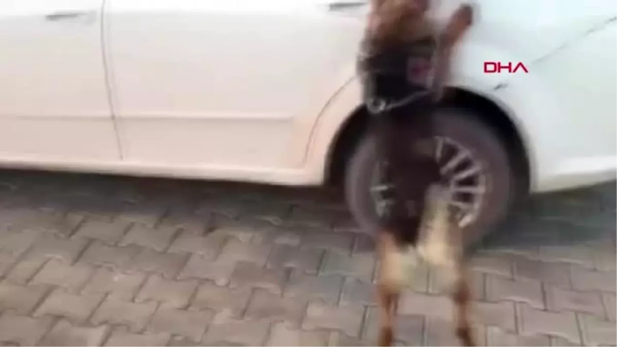 VAN OTOMOBİLDEKİ UYUŞTURUCUYU NARKOTİK KÖPEĞİ \'BOZO\' BULDU