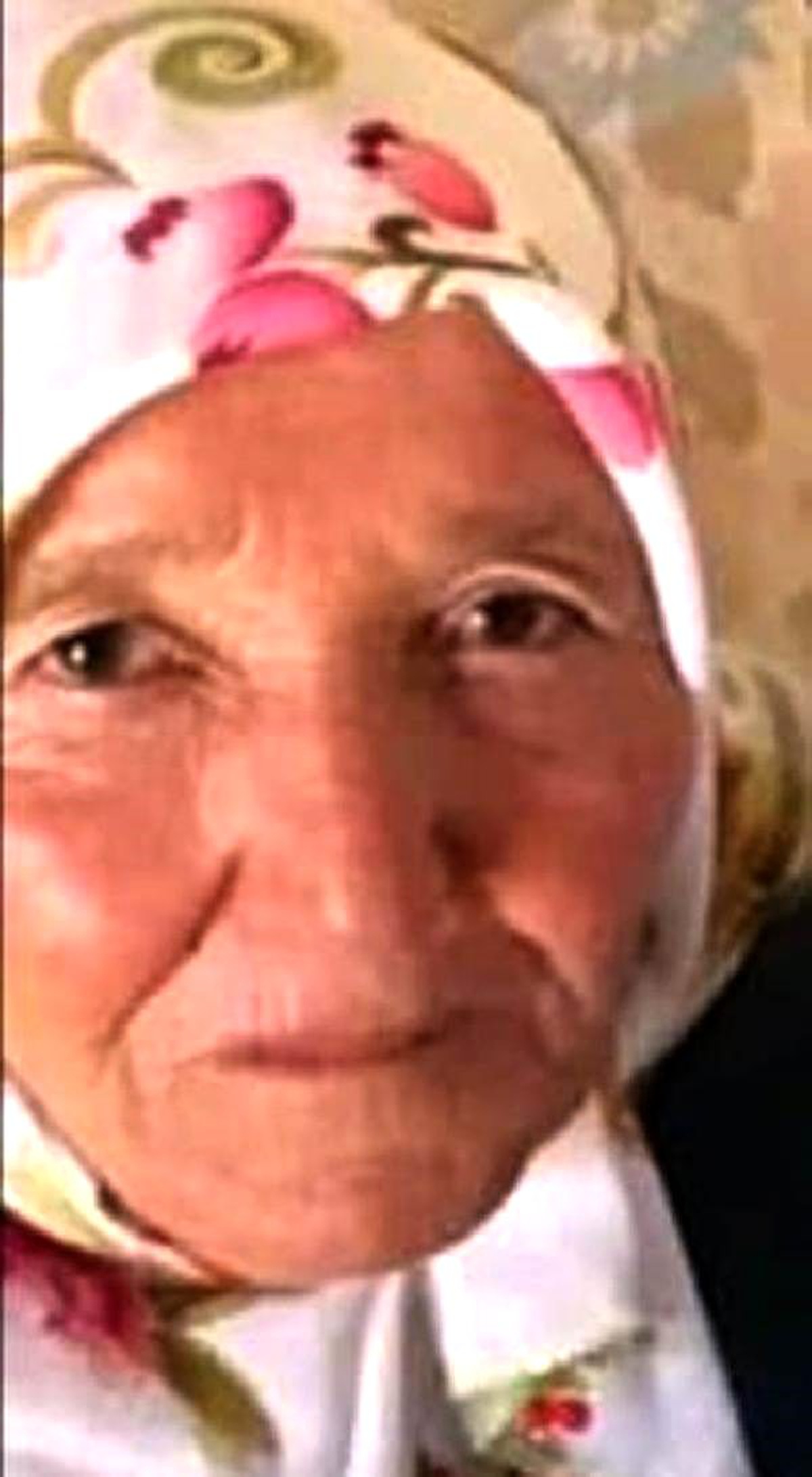 Mantar toplamaya çıkan yaşlı kadın kayboldu
