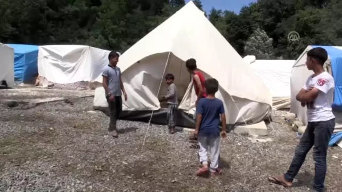 Mevsimlik tarım işçileri fındık hasadından umutlu