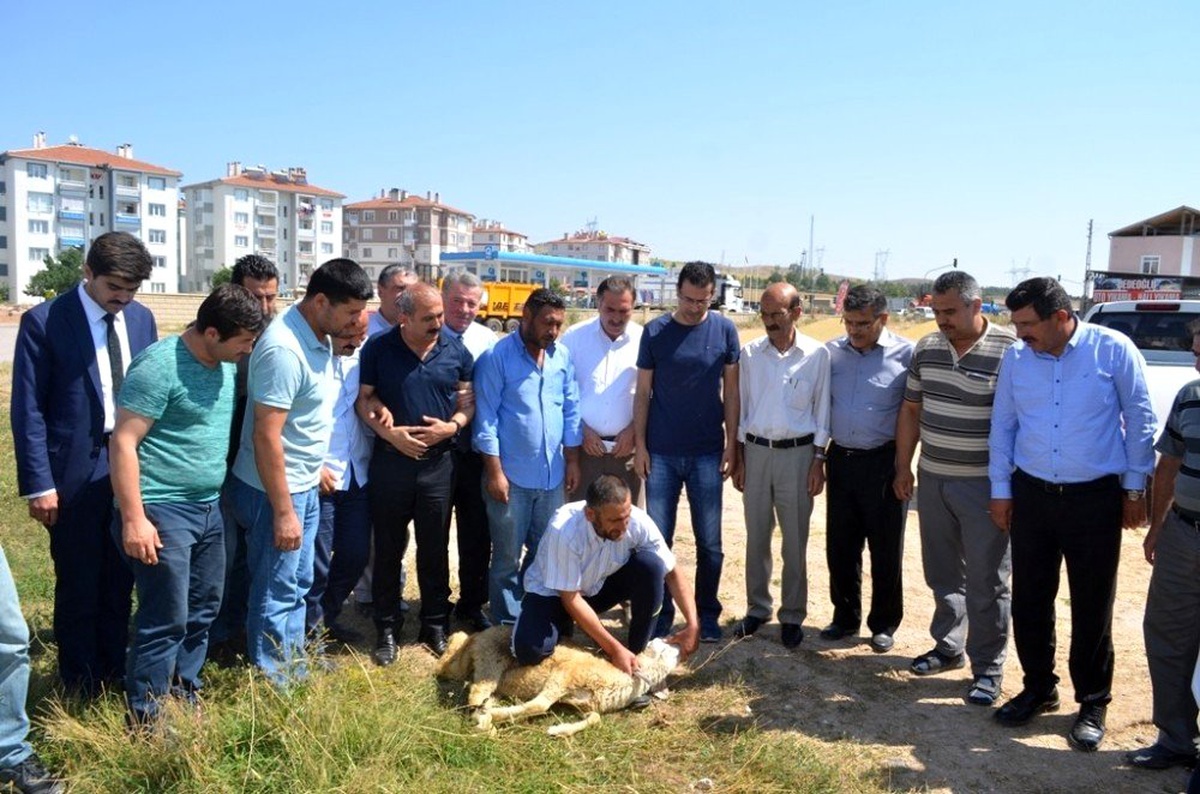 Bünyan\'da Kurban Kesim Kursu Açıldı