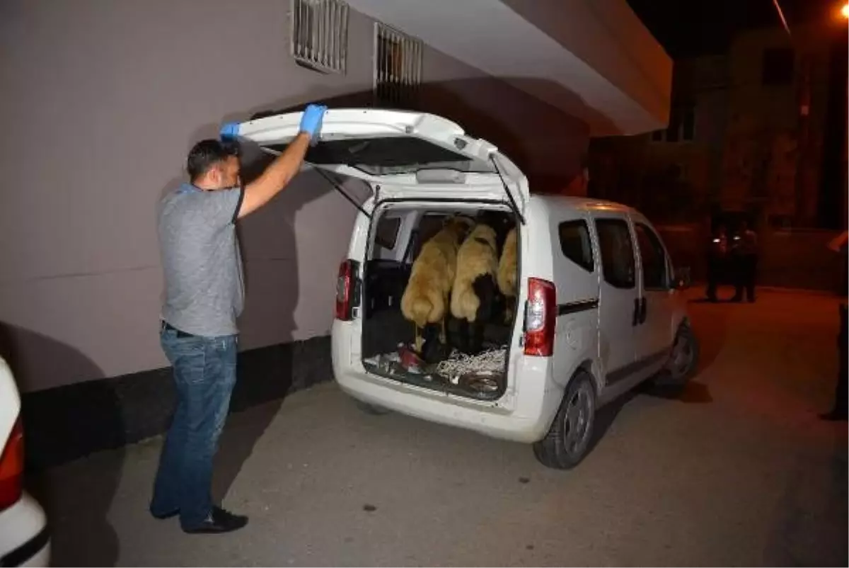 \'Dur\' ihtarına uymadılar, hayvanları araçta bırakıp, kaçtılar