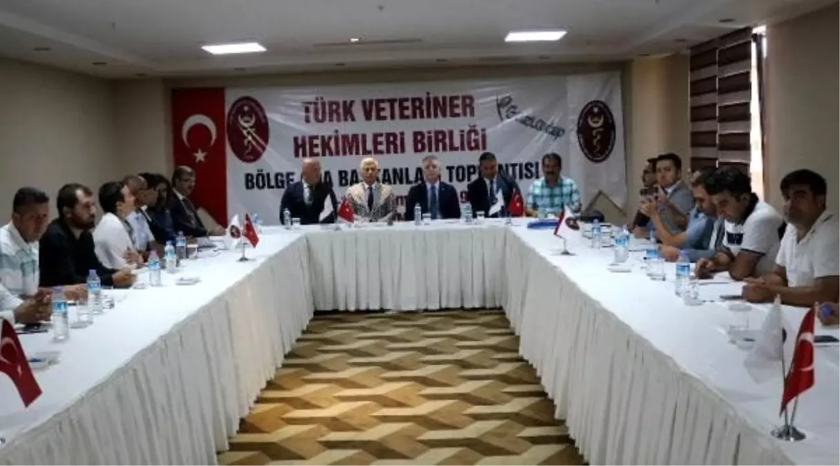 Eroğlu: Erken kuzu kesimi 30 bin ton et kaybına neden oluyor