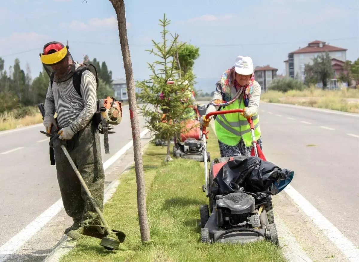 Kütahya\'da yabani ot temizliği ve çim biçme çalışmaları