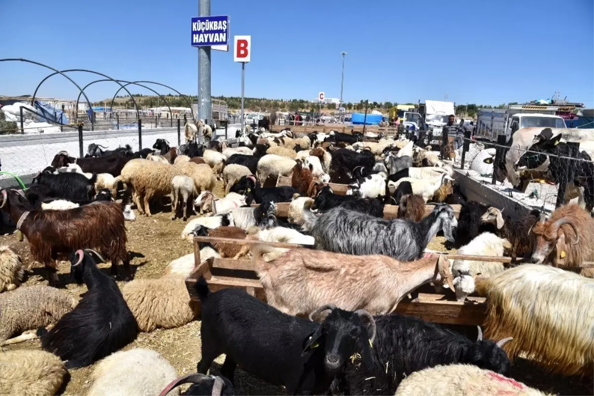 Selçuklu\'da kurban satışı başladı