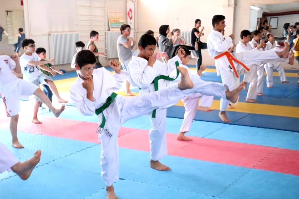 Sivas\'ta karate yaz okulu devam ediyor