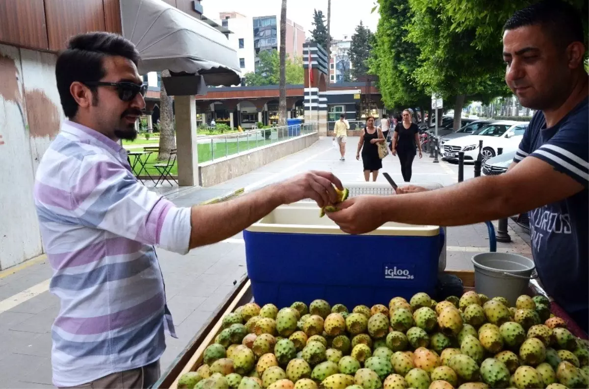 Adanalılar dikenli incirle serinliyor