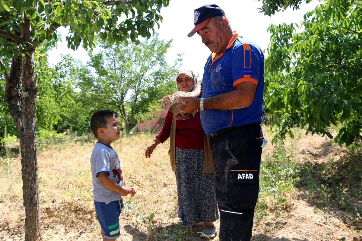 Aksaray\'da kuyuya düşen yavru kedi kurtarıldı