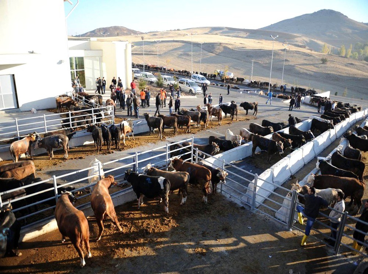 Altındağ\'da kurban kesim yerleri belirlendi
