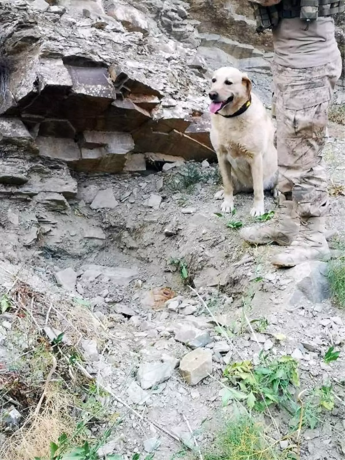 Başkale\'de, PKK sığınağı ve EYP imha edildi