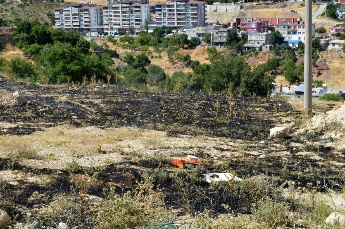 Besni\'de anız yangını korkuttu