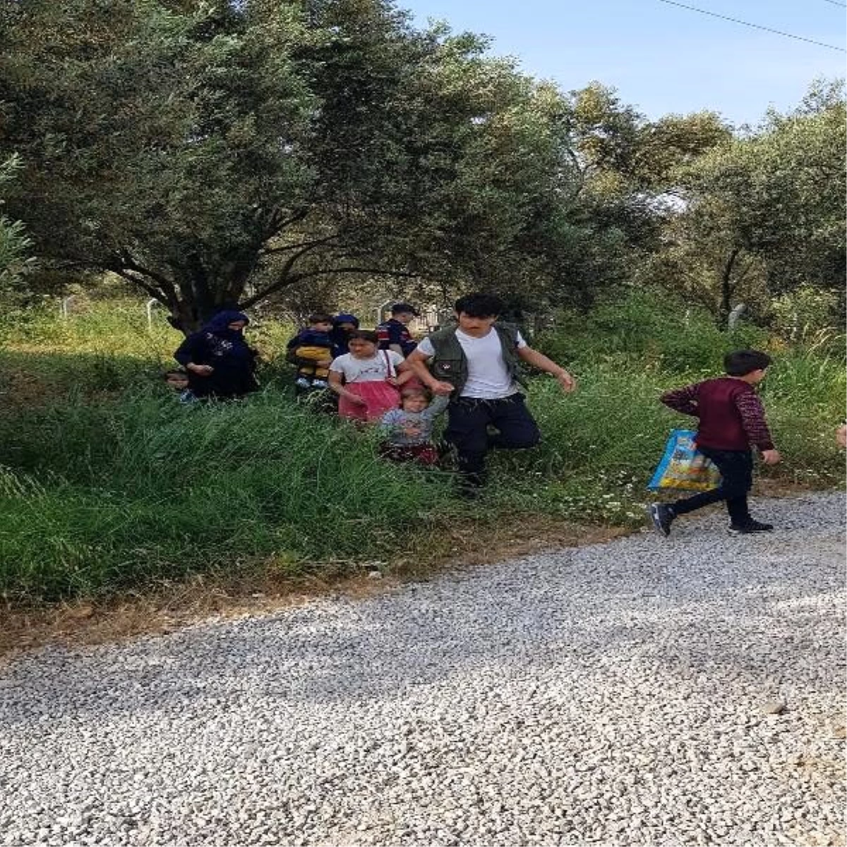 Çanakkale\'de 54 kaçak göçmen yakalandı