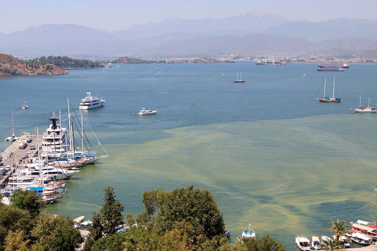 "Fethiye Körfezi\'ndeki renk değişiminin nedeni atık su tesisi"