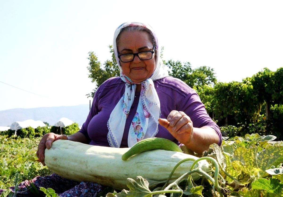 Küçücük bir delikten devasa acur yetiştirdi