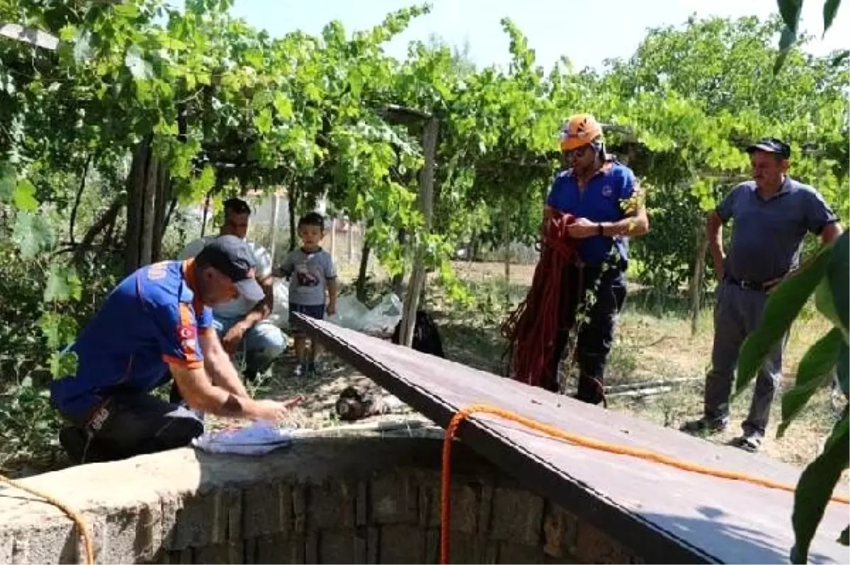 Kuyuya düşen yavru kedi kurtarıldı