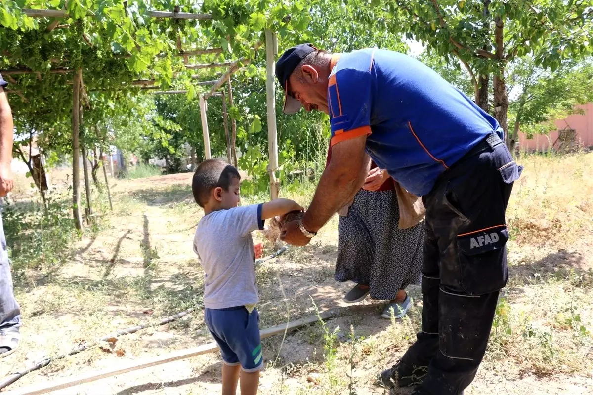 Kuyuya düşen yavru kedi kurtarıldı