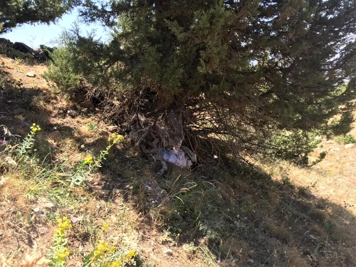 Siirt\'te ağaçların arasına gizlenmiş PKK\'ya ait mühimmat ele geçirildi
