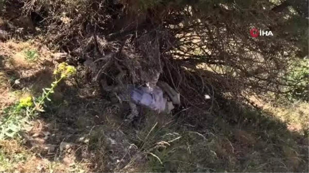 Siirt\'te ağaçların arasına gizlenmiş PKK\'ya ait mühimmat ele geçirildi