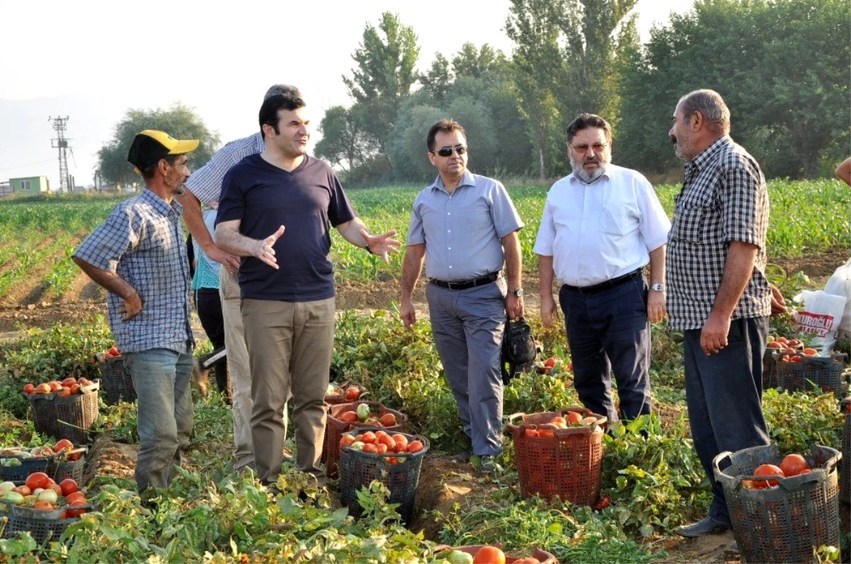 Tarlada çalışan işçilerin kaymakam şaşkınlığı