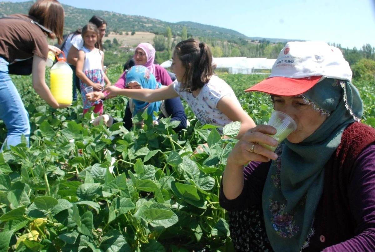 Tarlada sıcak havada çalışanlara limonata ikramı