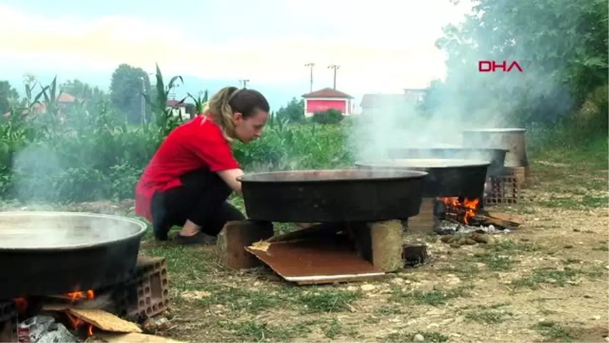 TOKAT Geçirdiği kazadan sonra denediği çam kozalağı reçelinin üretimine başladı