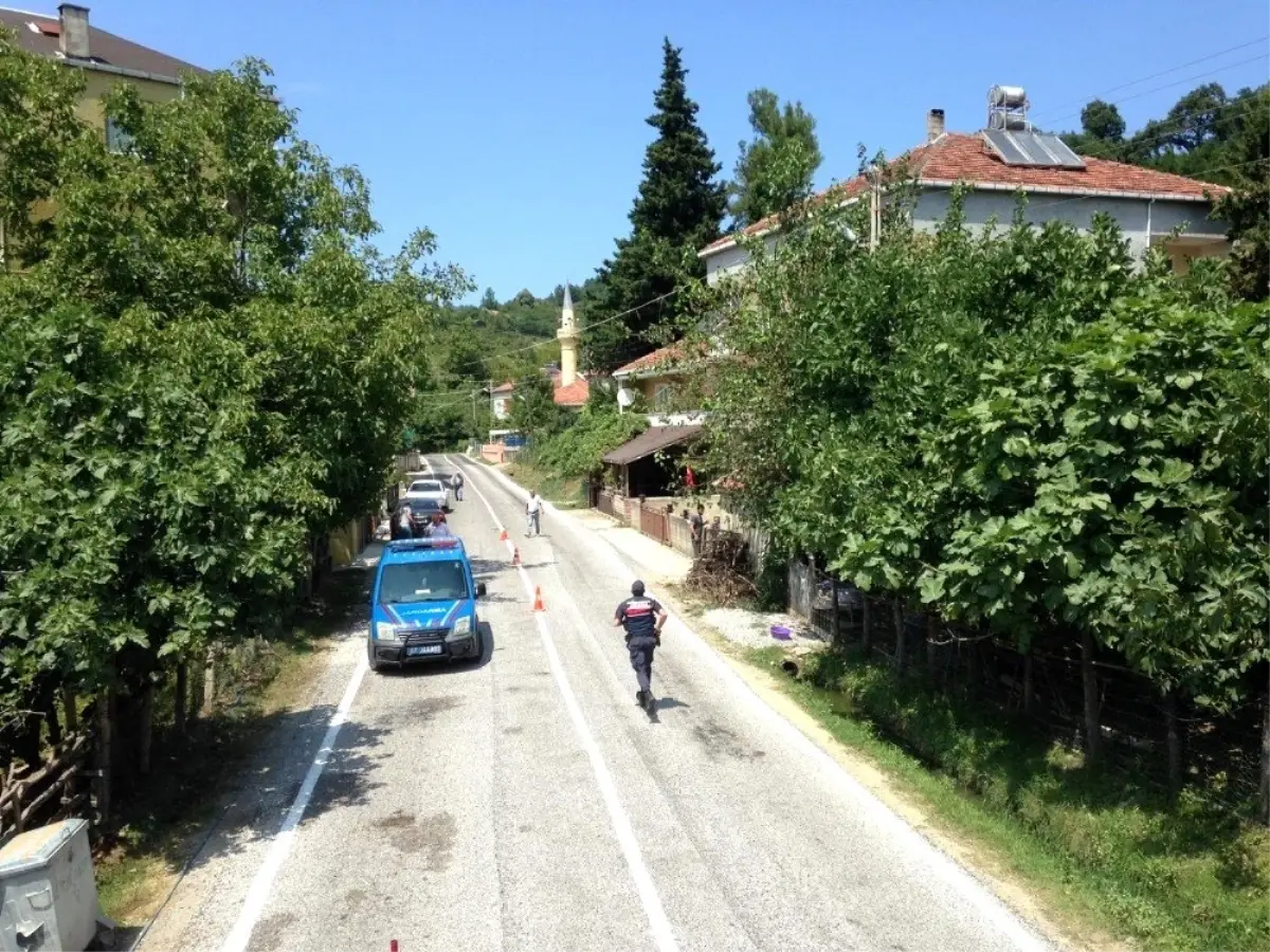 Türkeli\'deki samanlık yangını büyümeden söndürüldü