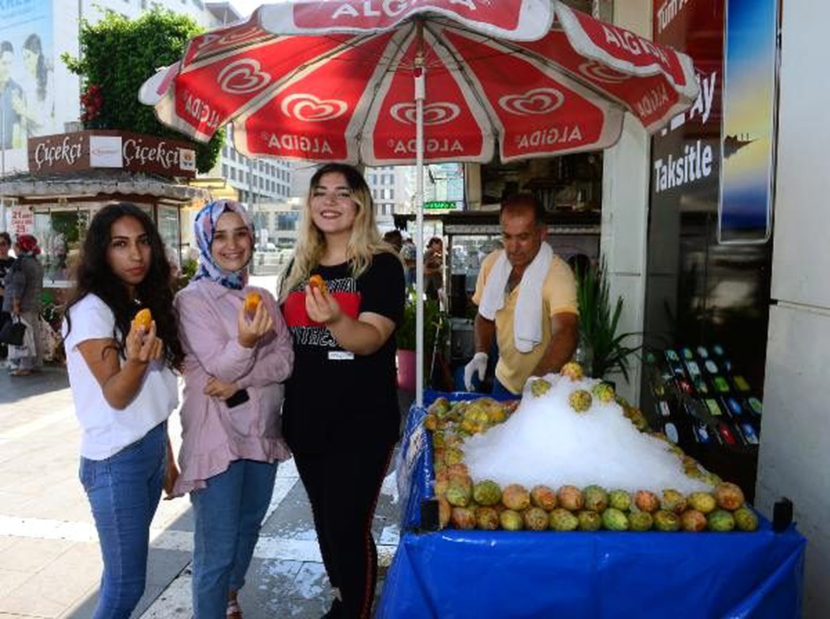 Vitamin deposu dikenli incir serinletiyor