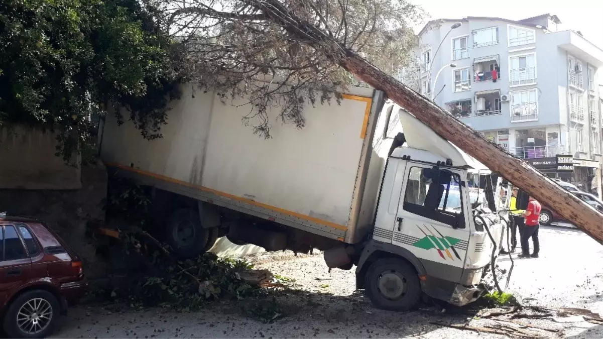 Yasak olan yokuşa giren kamyonet freni patlayınca ağaçları yerinden söktü