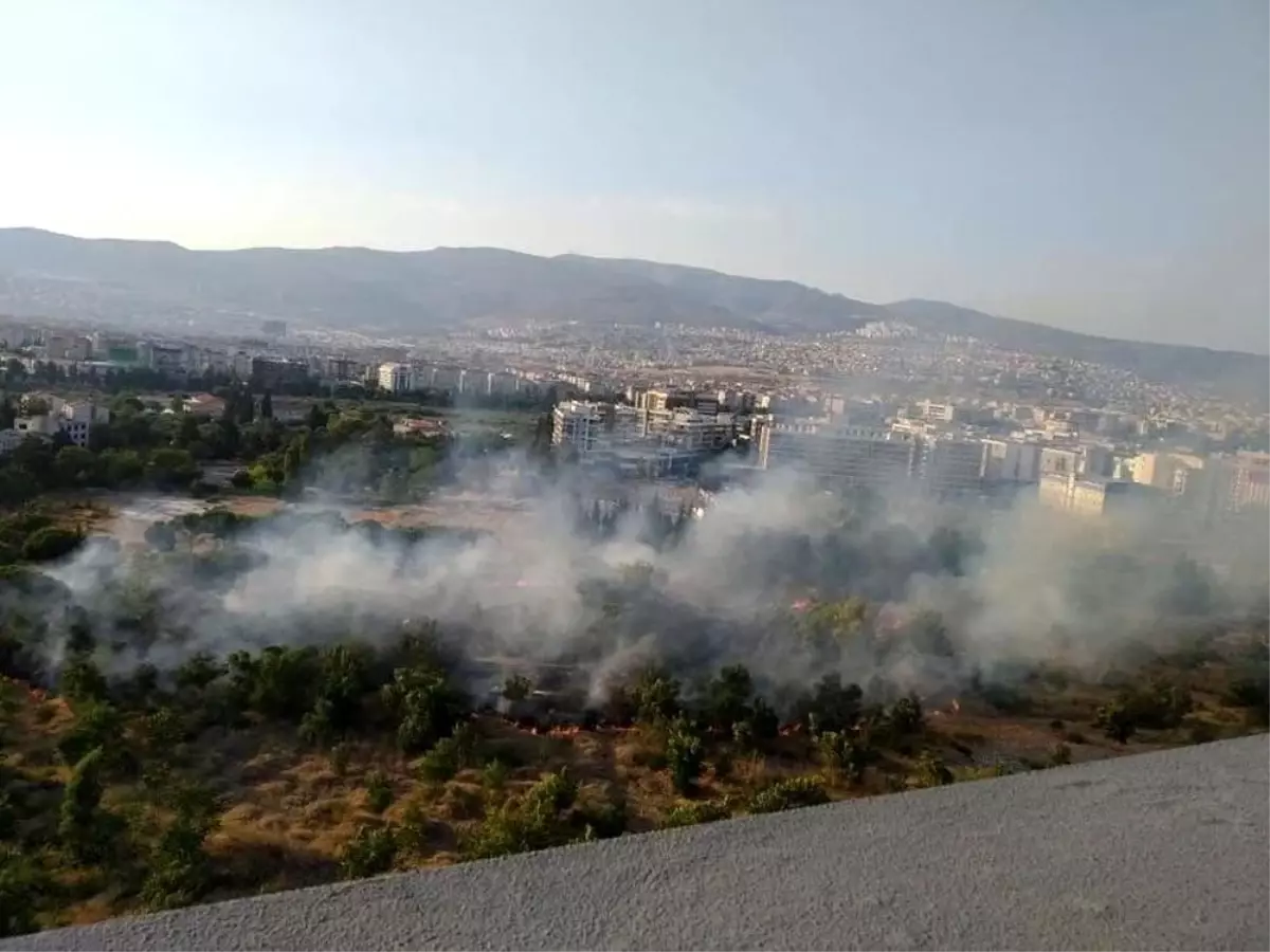 Yediemin deposunda çıkan yangında araçlar kül oldu