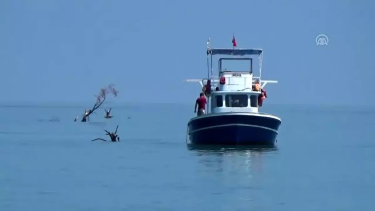 Akçakoca\'da selde denize sürüklenen ağaç parçaları temizleniyor