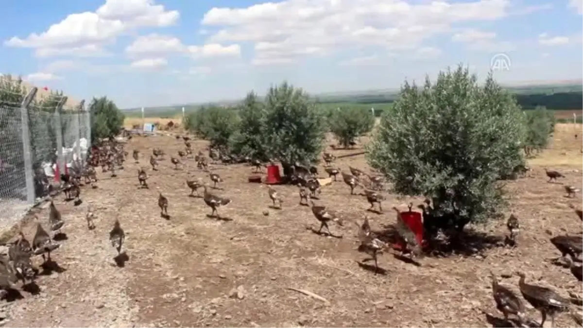 Aldığı krediyle çocukluk hayalini gerçekleştirdi