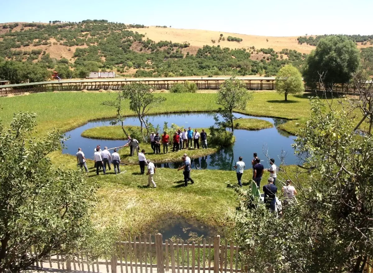 BÜ senato toplantısı Yüzenadalar\'da yapıldı